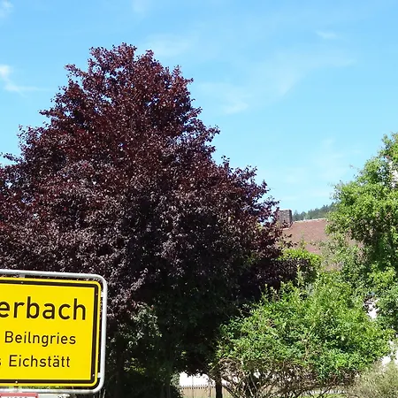 Donauer Im Altmuehltal -