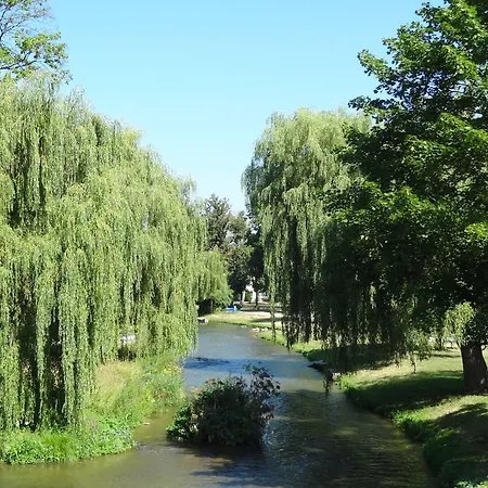 Donauer Im Altmuehltal - Biberbach (Bavaria)