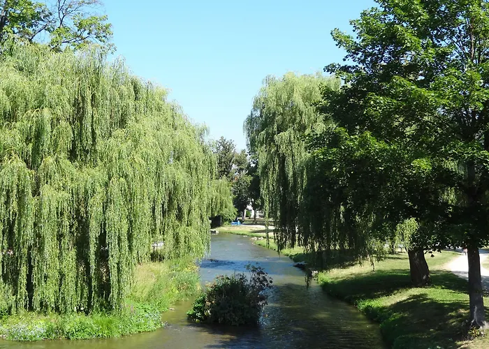 Donauer Im Altmuehltal - Biberbach (Bavaria)